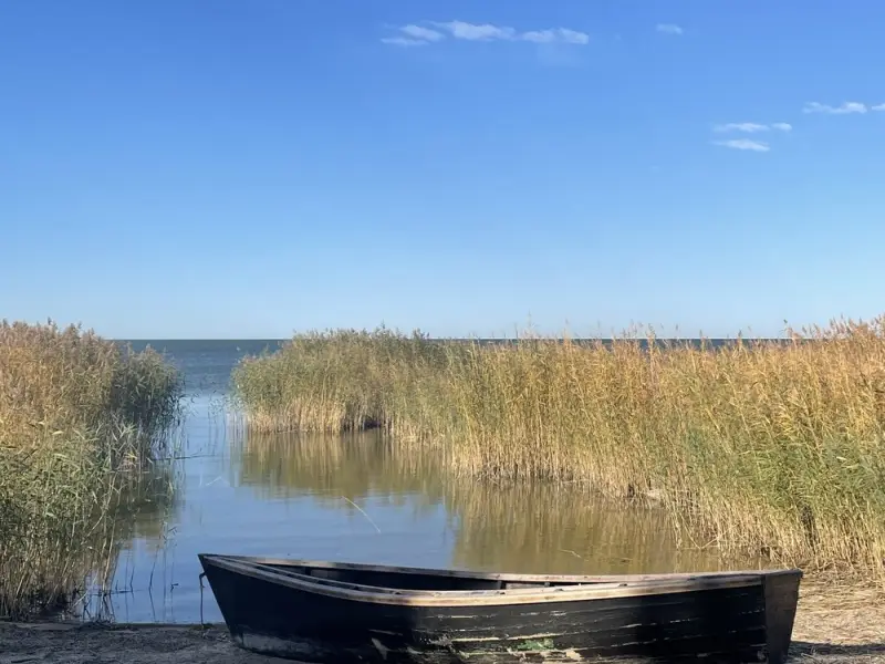 Автопутешествие по Калининградской области: Средневековье, немецкая школа и пиво