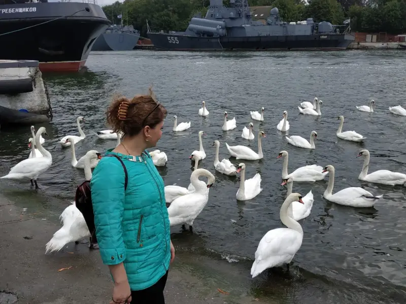 Тени тевтонов: по местам действия романа Алексея Иванова