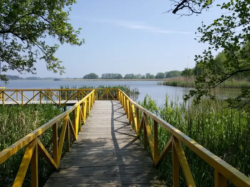 Куршская коса — царство моря, дюн и птичьих голосов
