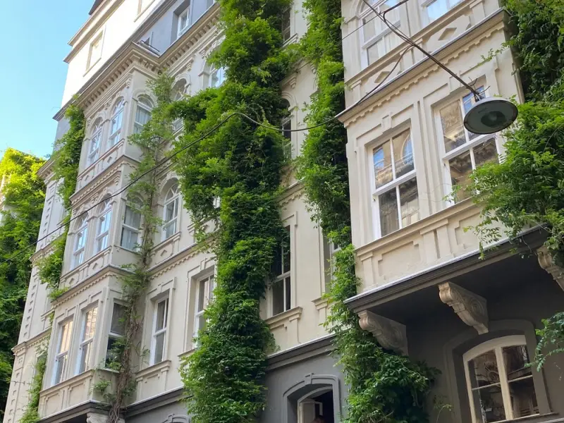 Стамбул — первое знакомство