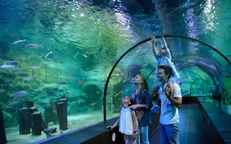 В гости к акулам и скатам: поездка в Istanbul Aquarium (трансфер и билеты включены)