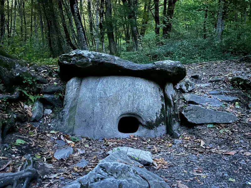 Живописные ущелья, дольмены и горные курорты за 1 день (из Сочи)