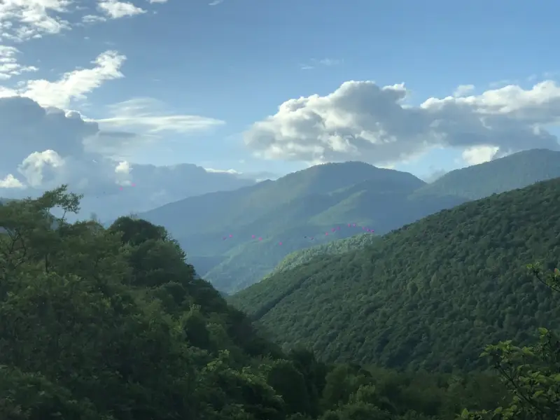 Волшебными дорогами к Рице из Сочи