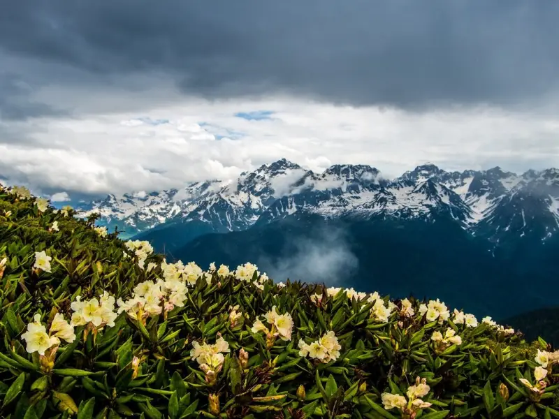Красная Поляна 2 в 1: фотосессия и индивидуальная пешеходная экскурсия