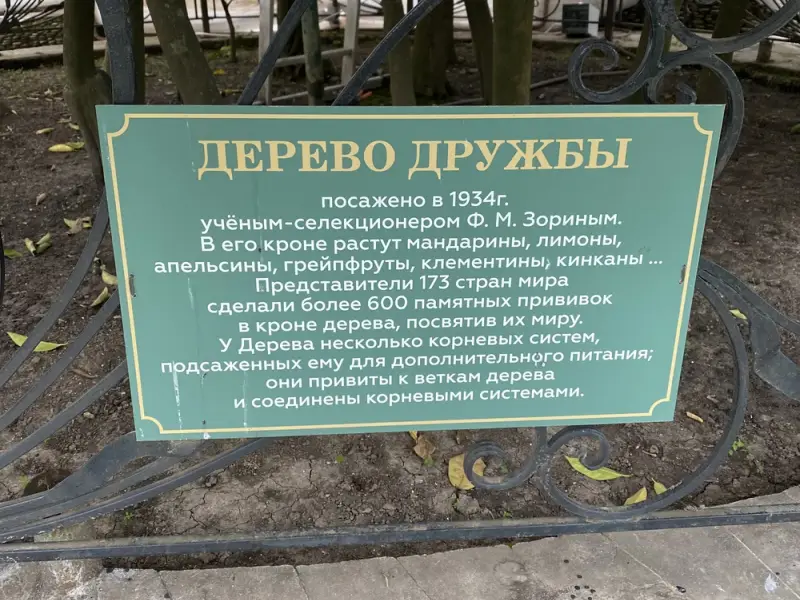 Удивительный Сочи: знакомство с городом