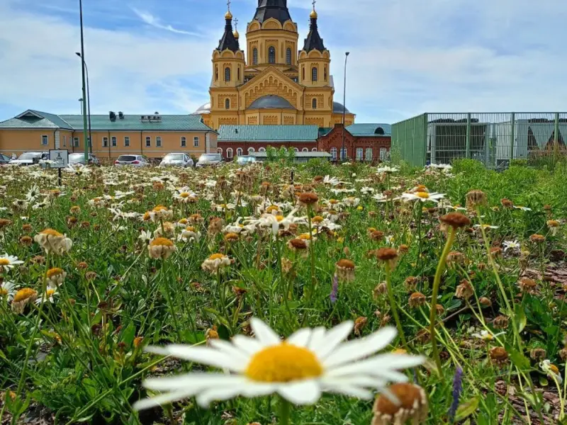 Очарование Нижнего Новгорода