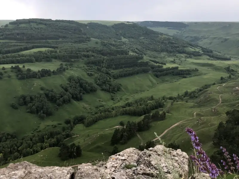Конная прогулка в окрестностях Кисловодска