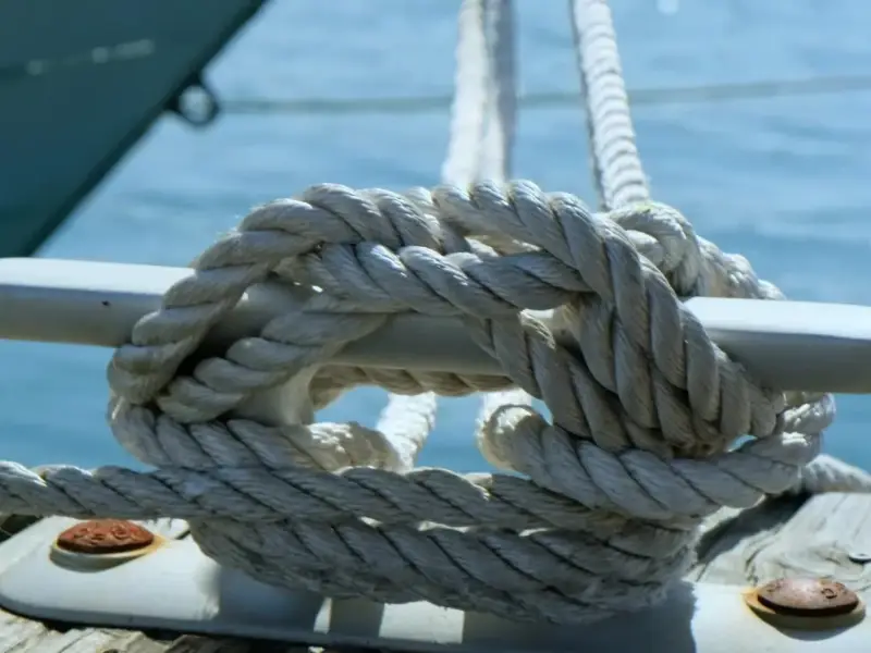 Адлер: морская рыбалка, обед из улова и купание в Чёрном море
