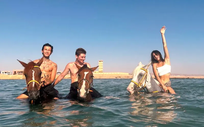 В Красном море верхом на лошади