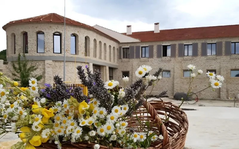 Винная поездка из Анапы в Шато Андре