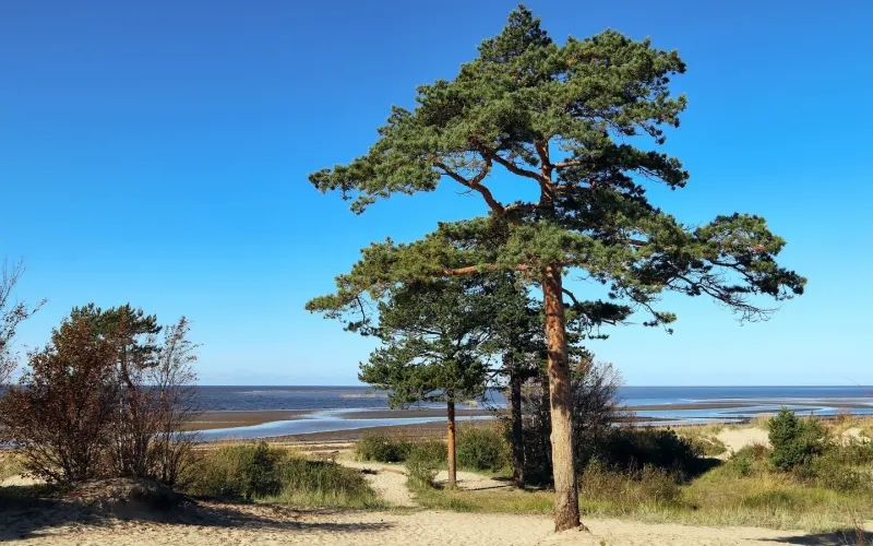 Северодвинск и Белое море